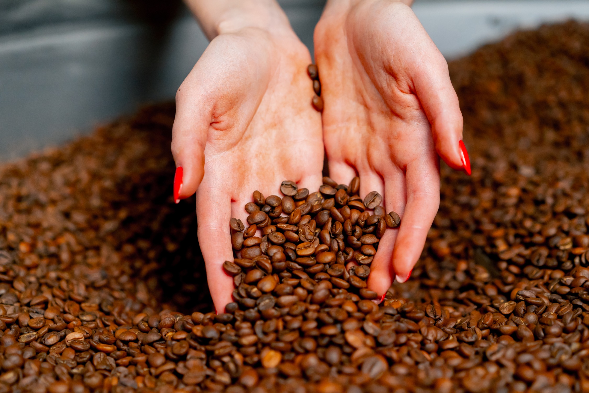 koffiebonen Euro Koffie